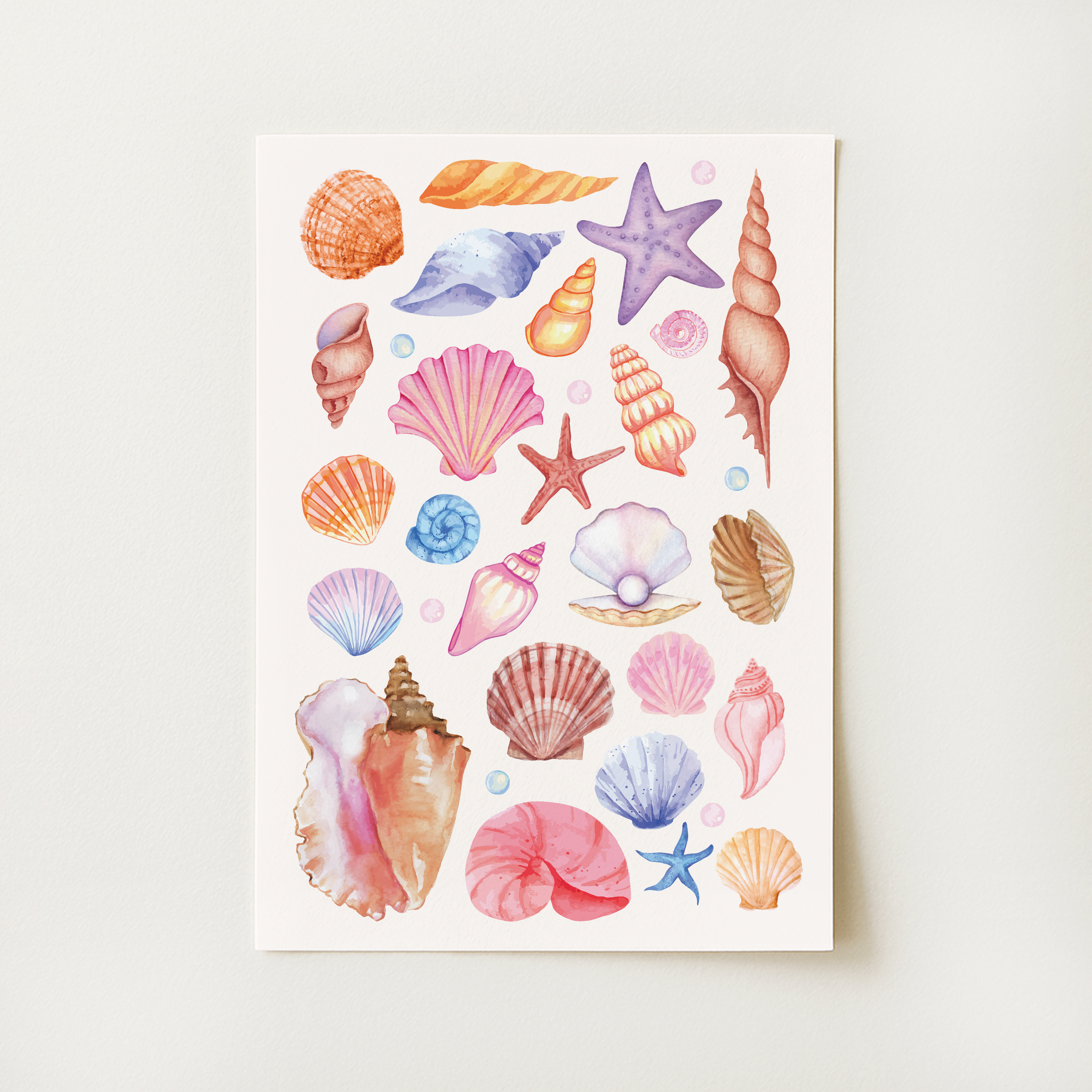 Seashells Print
