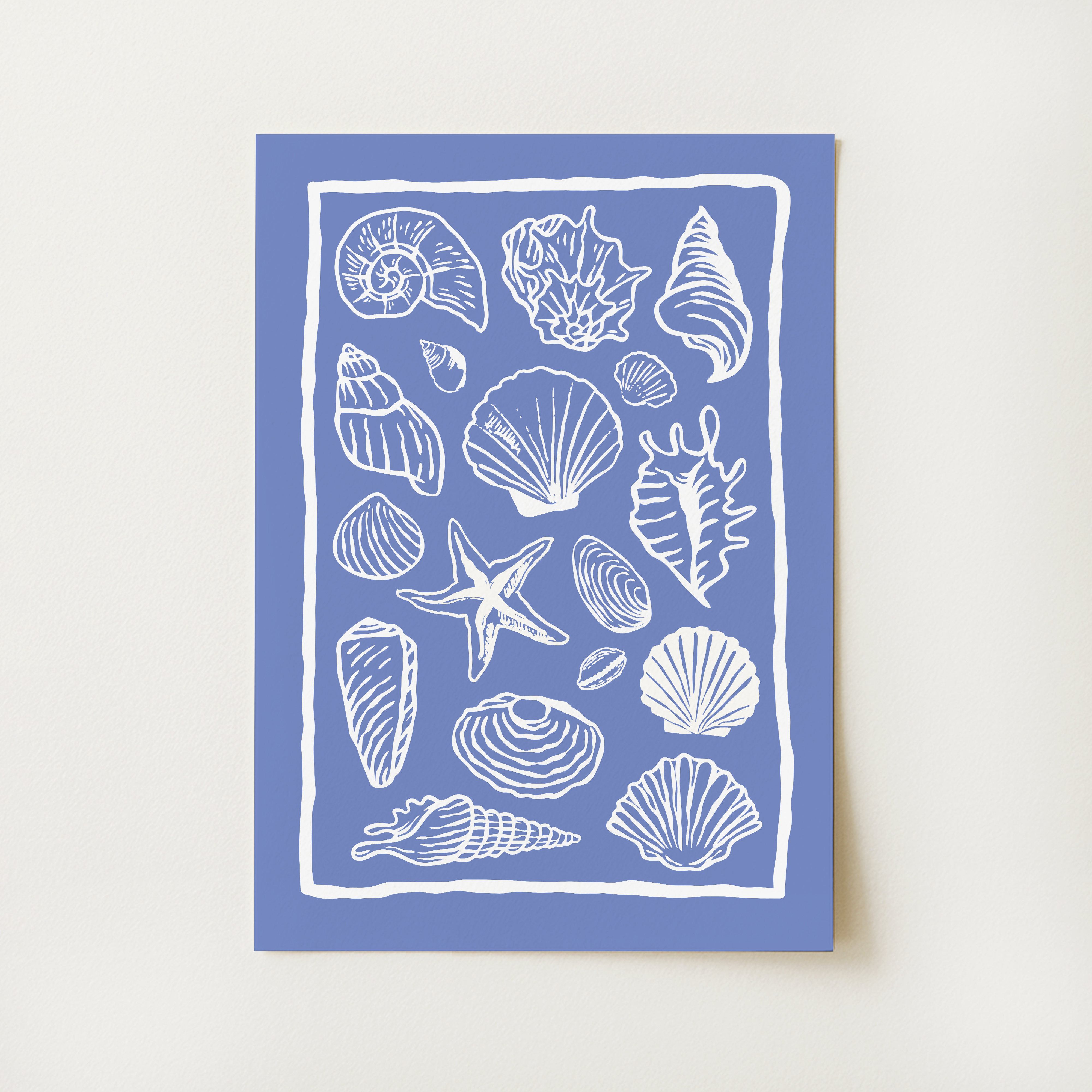 Seashells Print