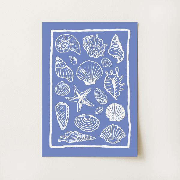 Seashells Print
