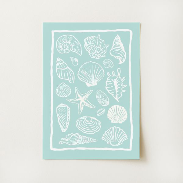Seashells Print