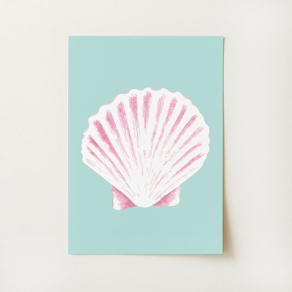 Seashell Print