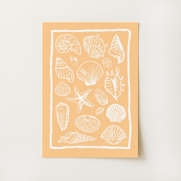Seashells Print