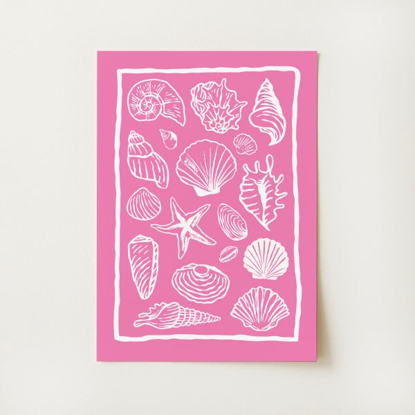 Seashells Print