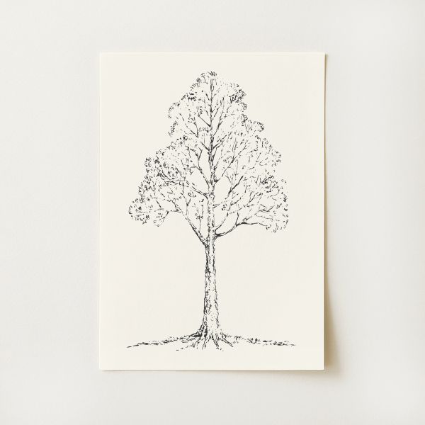 Tree Sketch Print