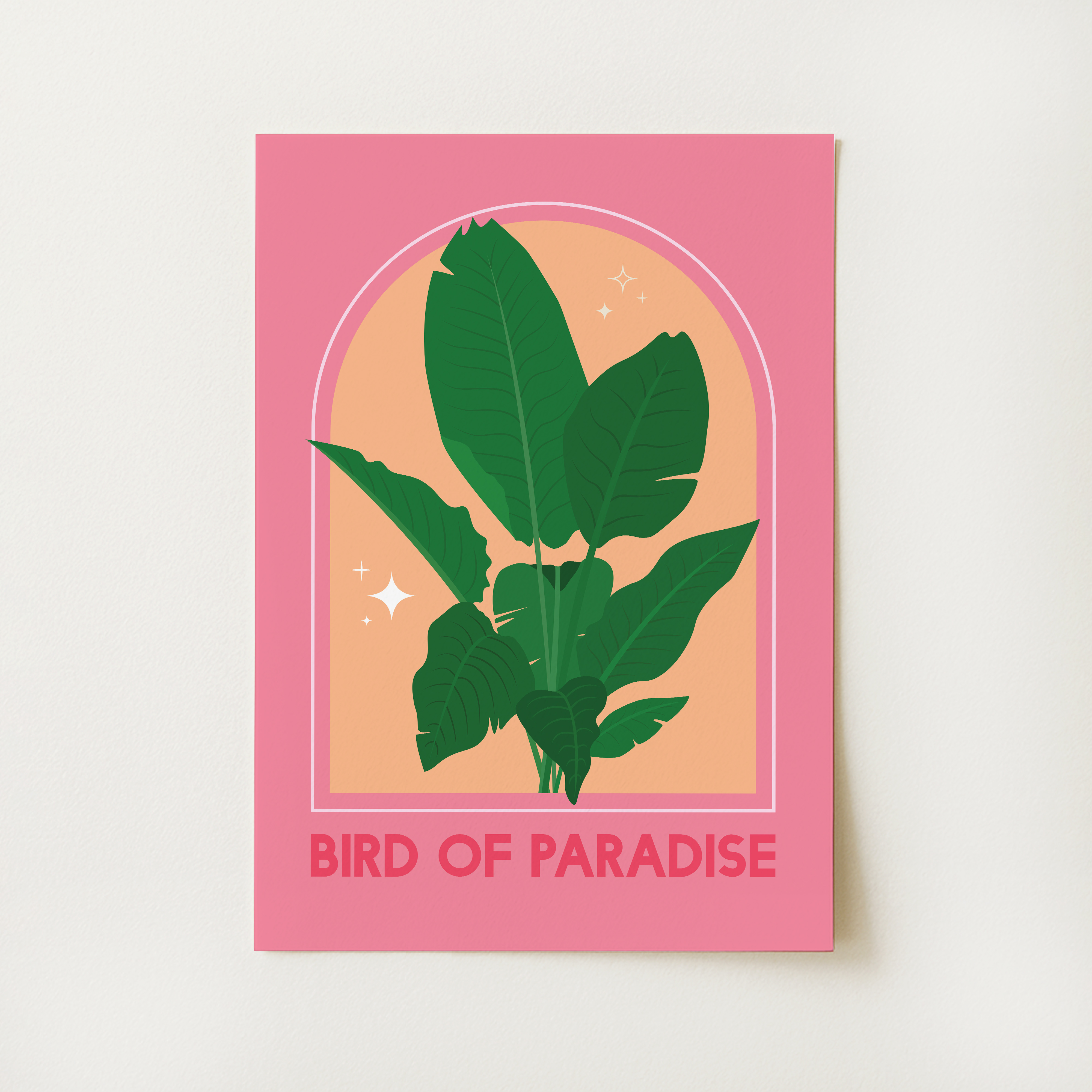 Bird of Paradise House Plant Print