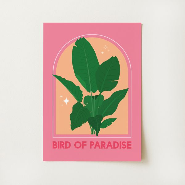 Bird of Paradise House Plant Print