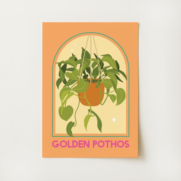 Golden Pothos House Plant Print