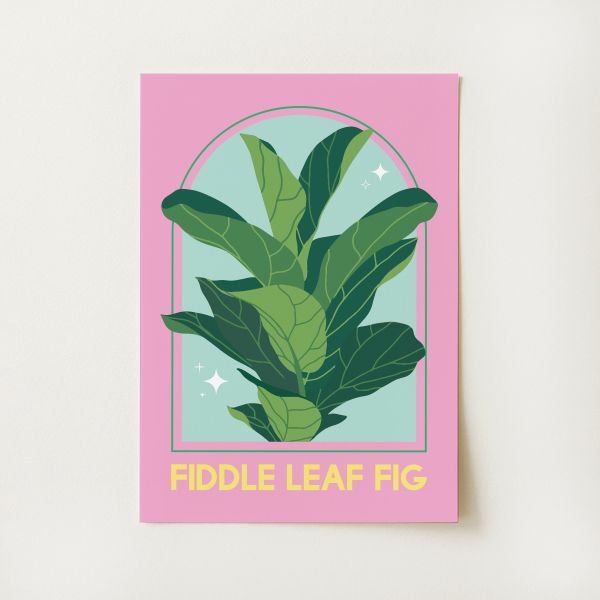 Fiddle Leaf Fig House Plant Print