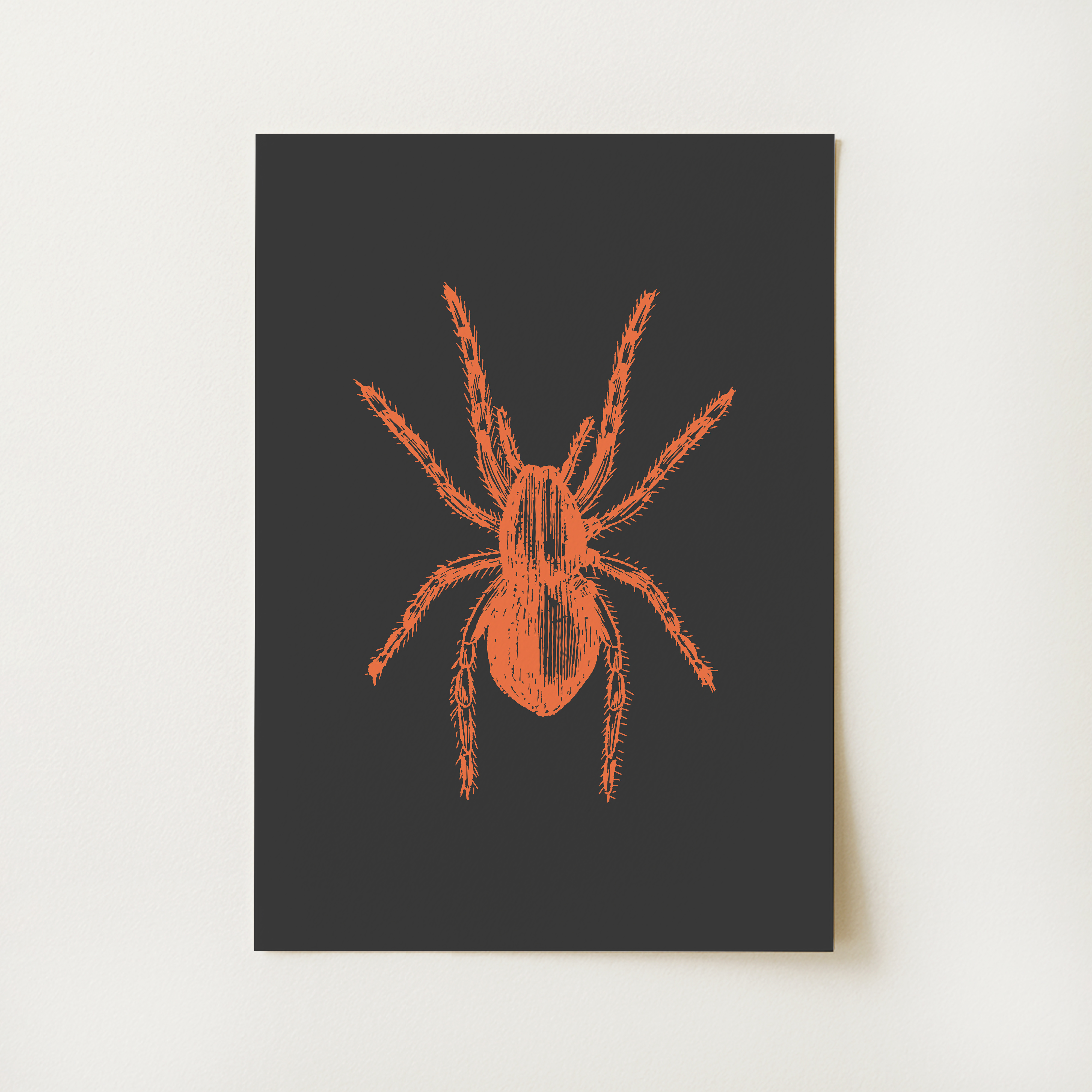 Spider Print - Image 3