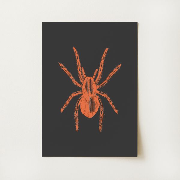 Spider Print