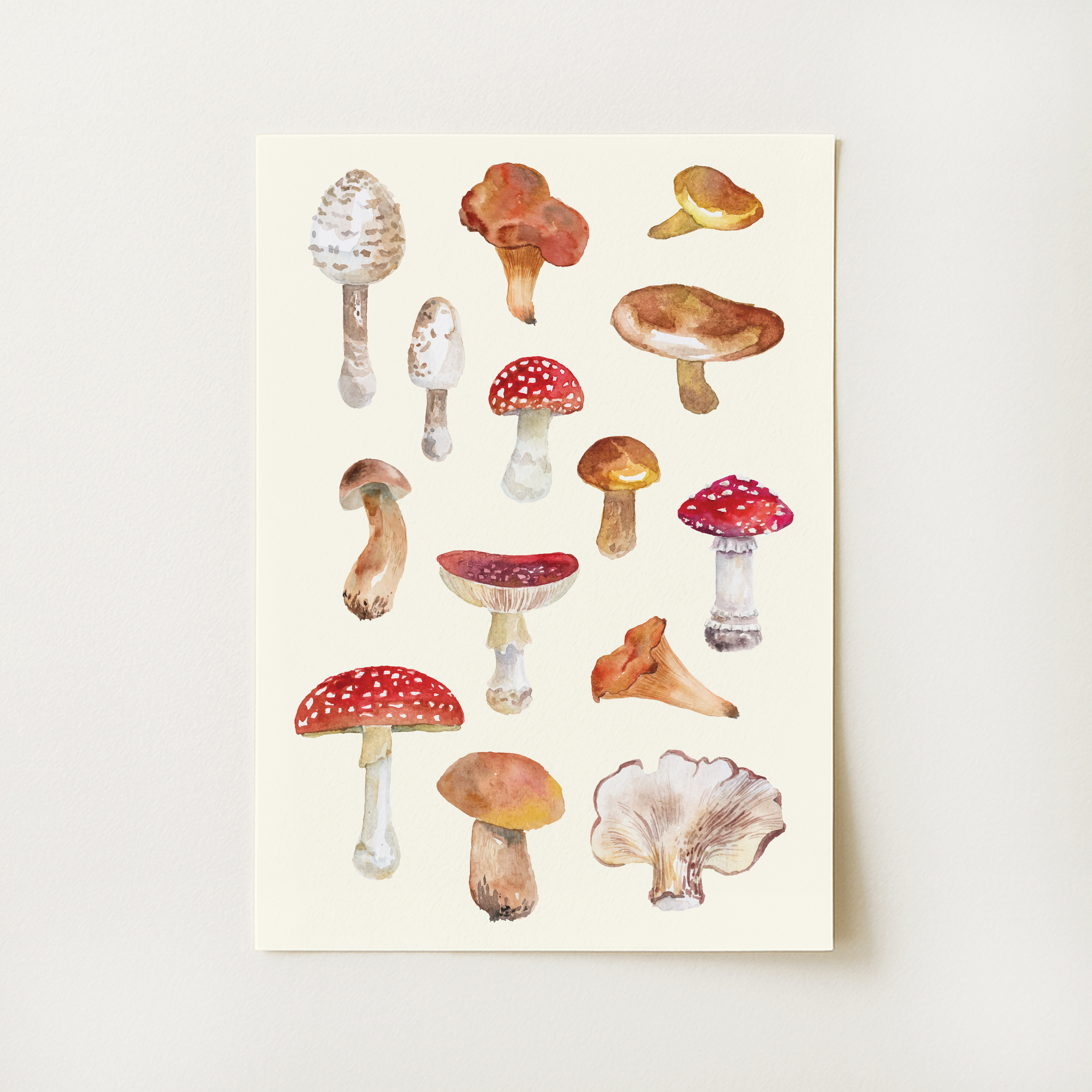 Mushrooms Print