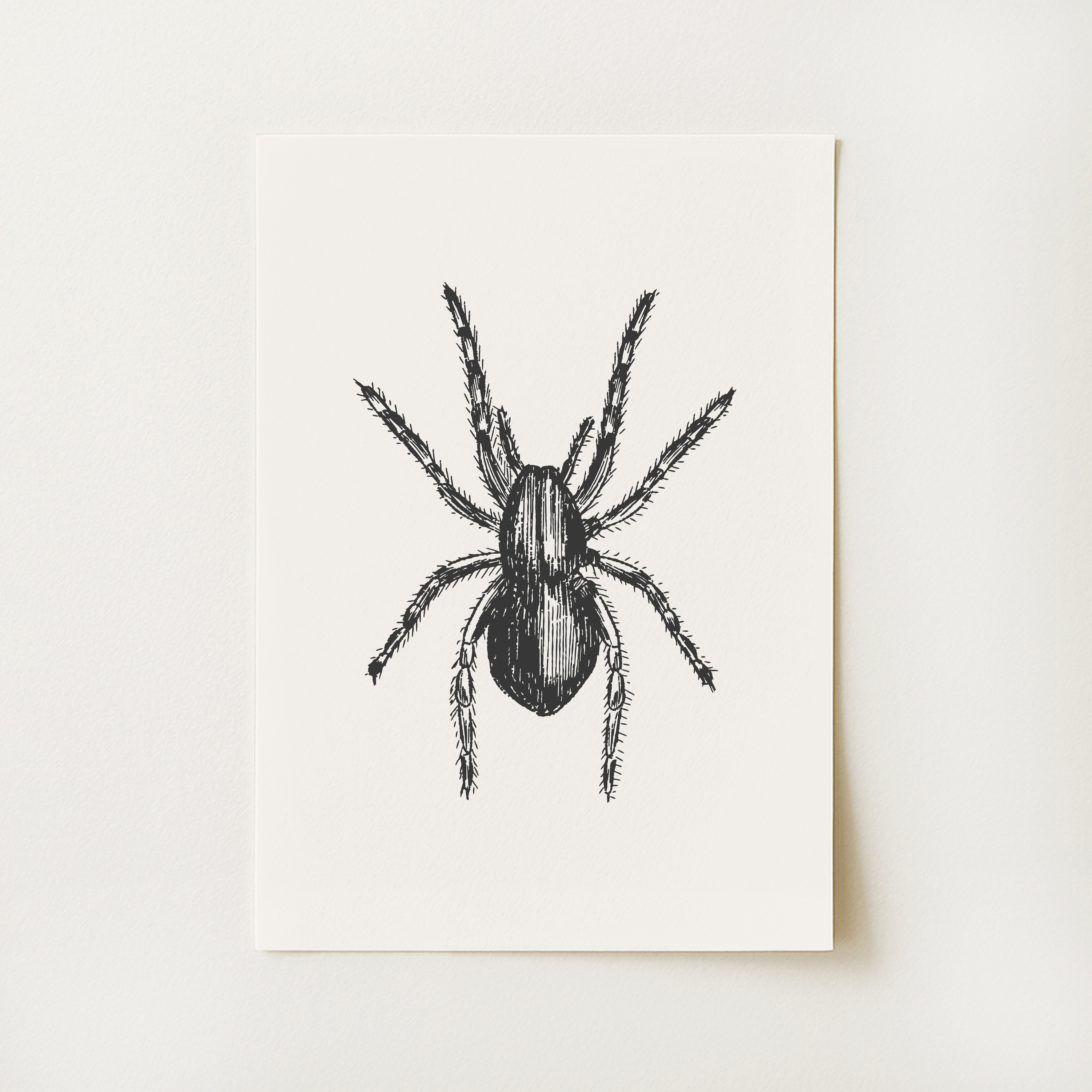 Spider Print