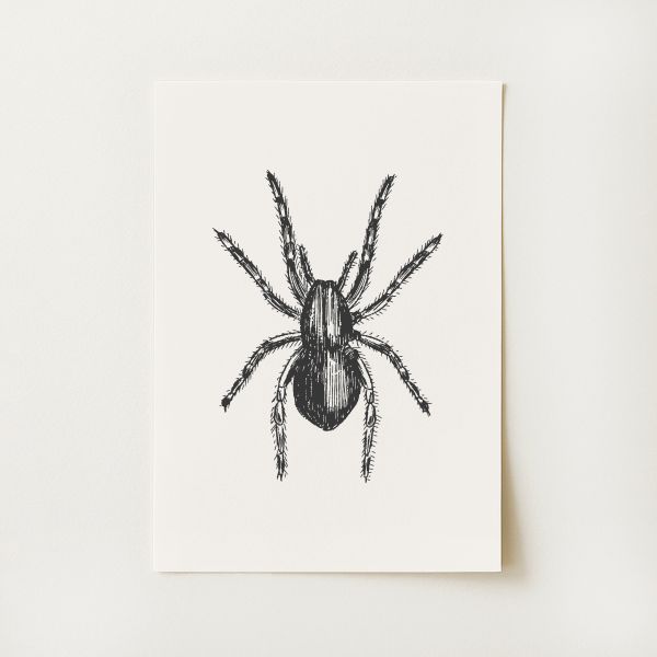 Spider Print