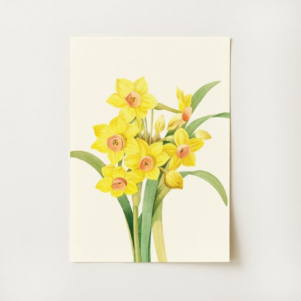 Daffodils Print