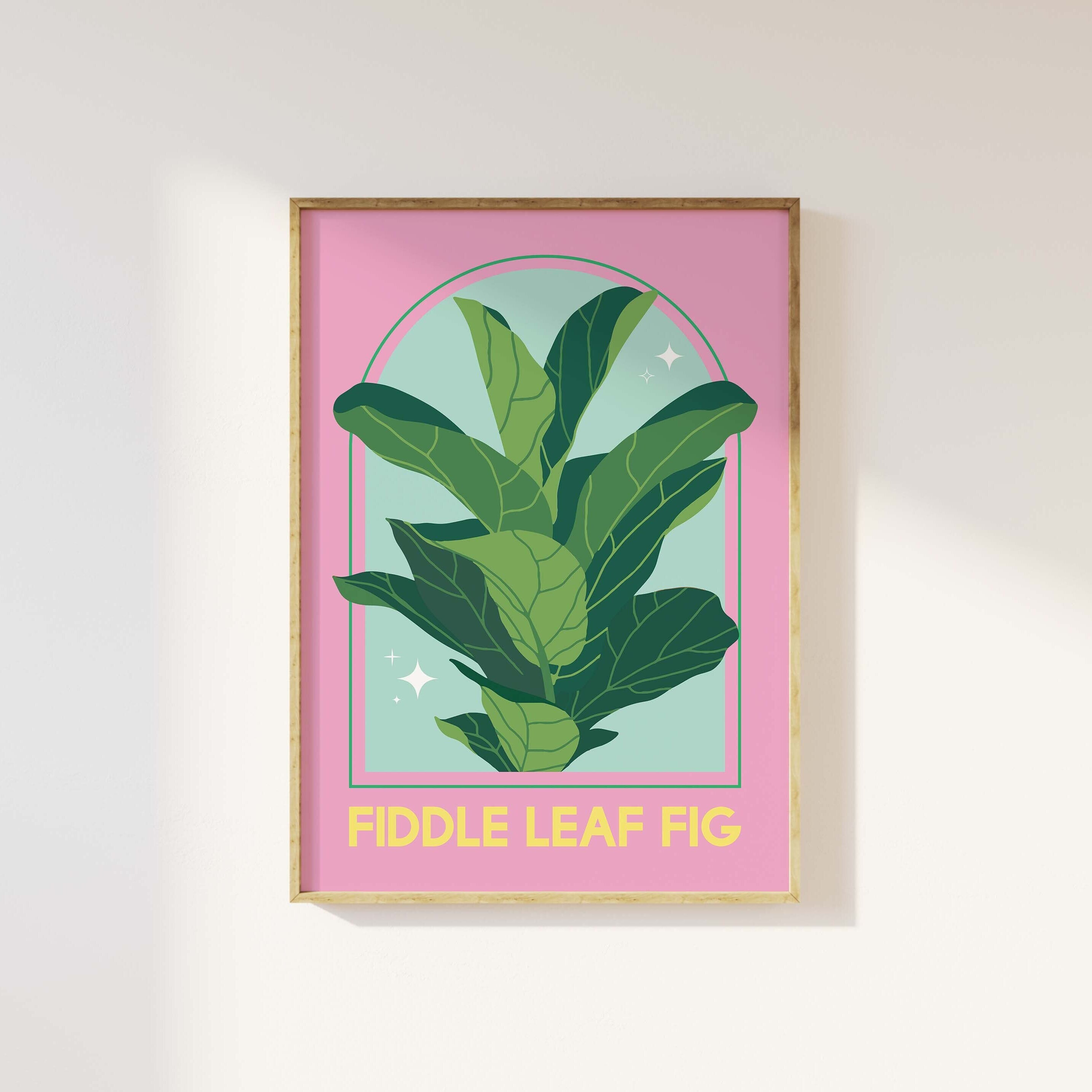 Fiddle Leaf Fig House Plant Print