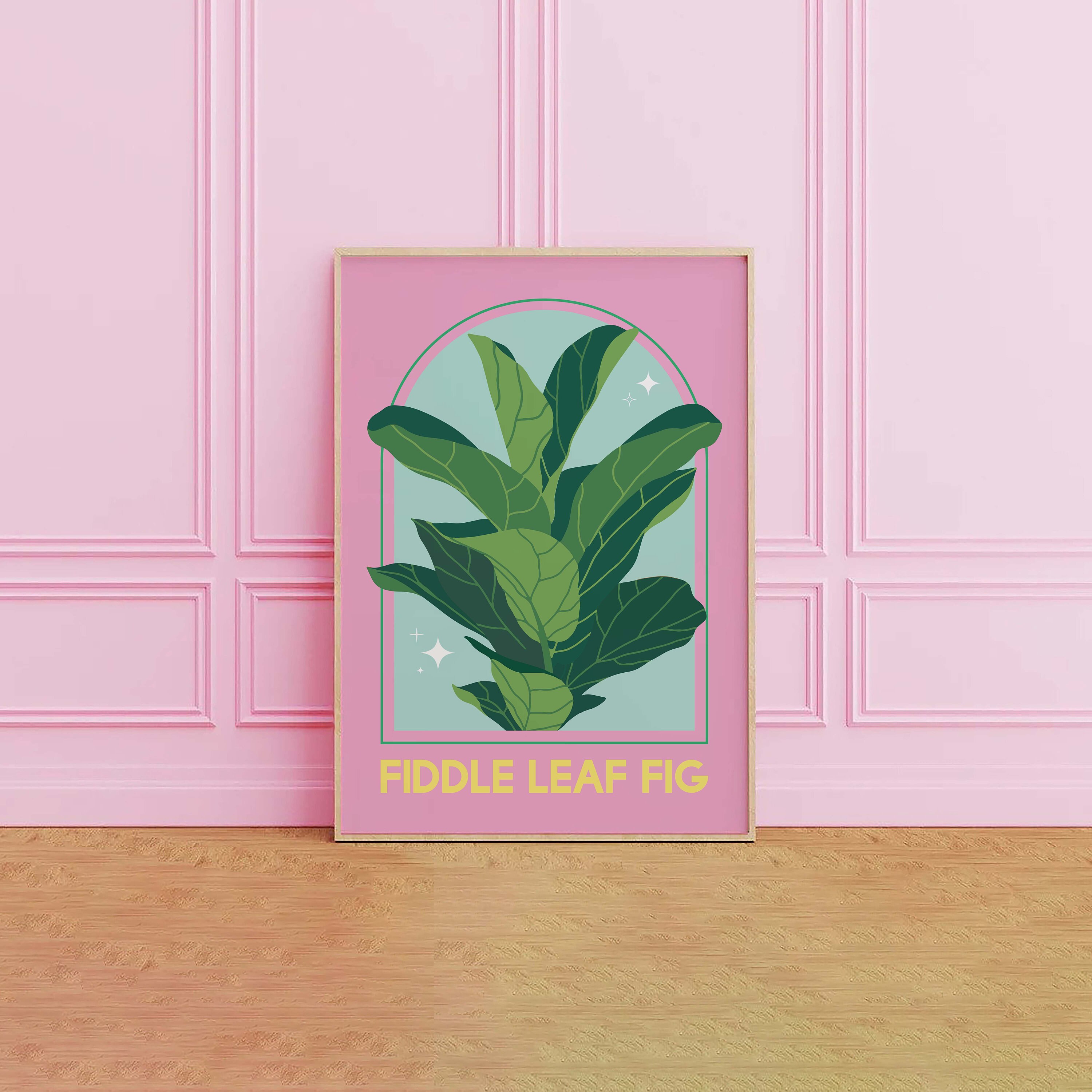Fiddle Leaf Fig House Plant Print - Image 4