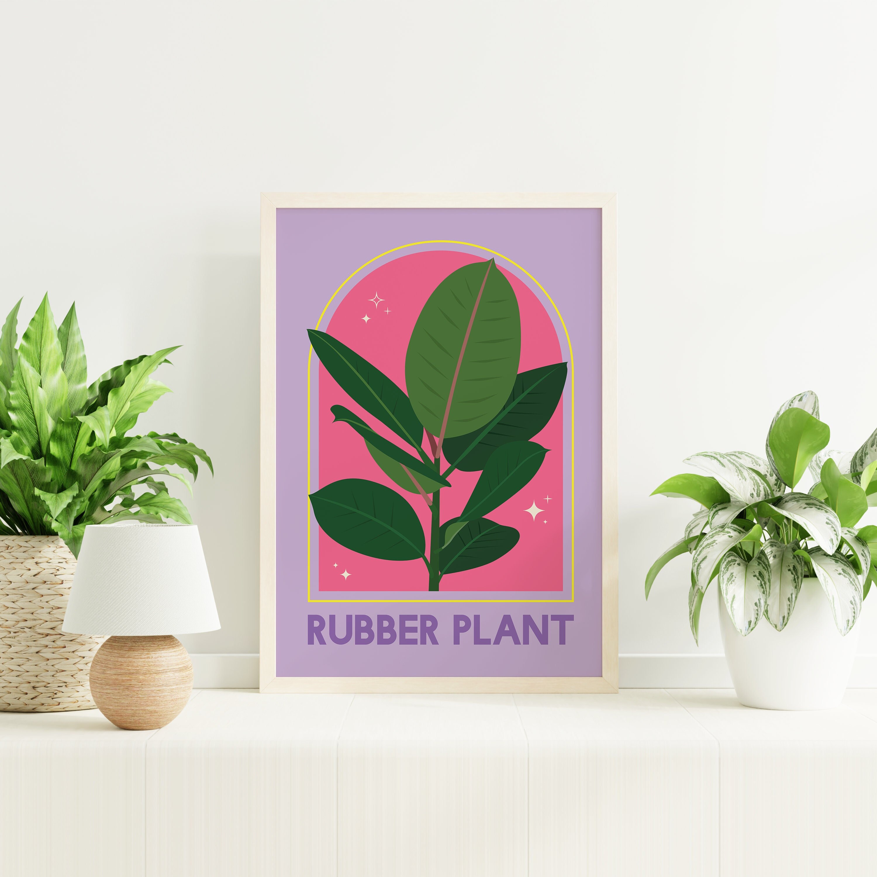 Rubber Plant House Plant Print