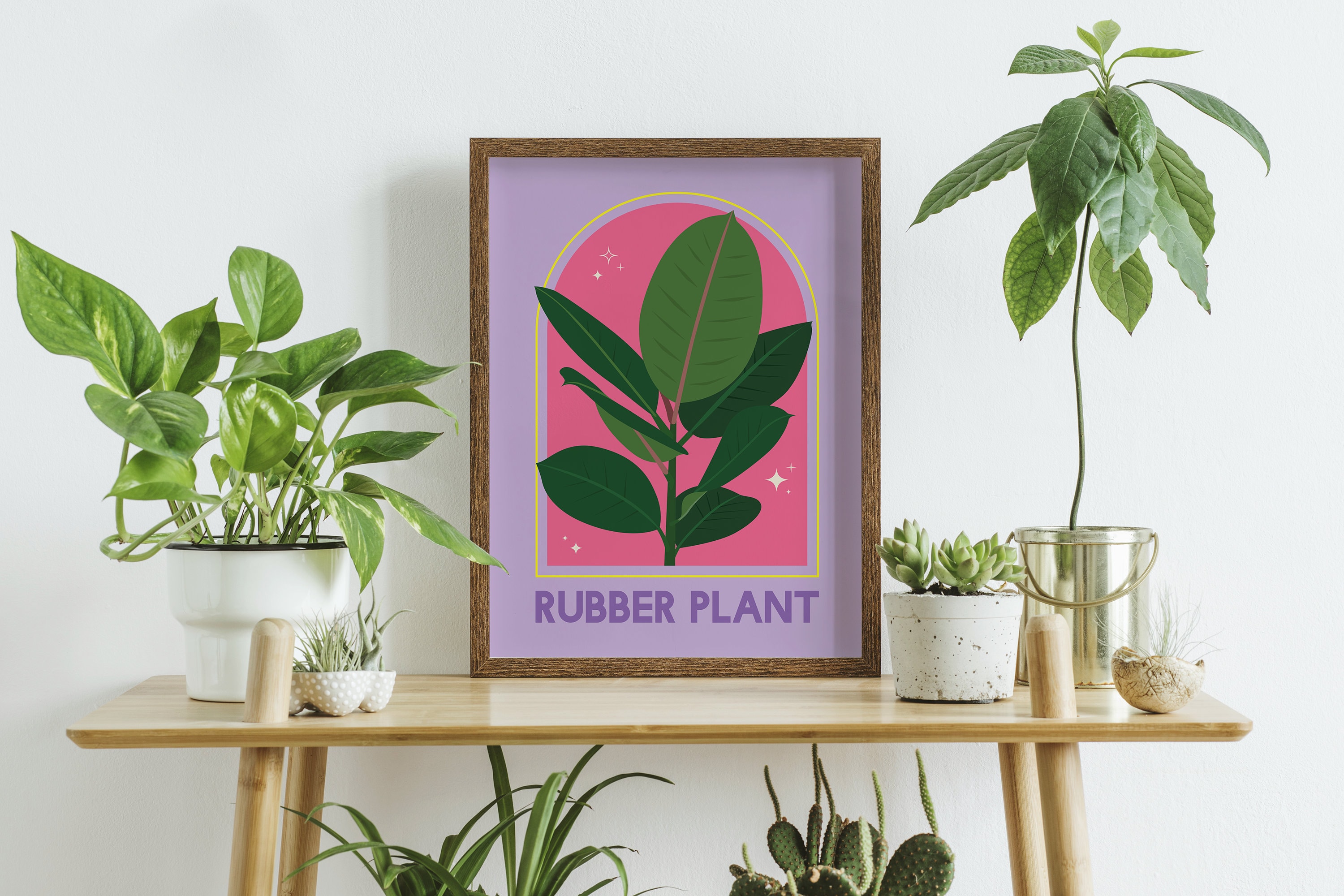 Rubber Plant House Plant Print - Image 4